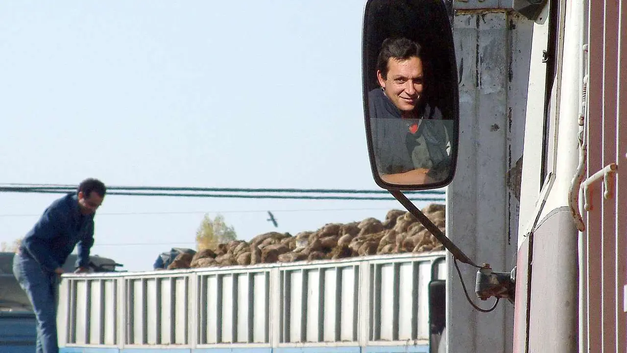 Una larga hilera de camiones cargados con remolacha aguardan turno a la entrada de la azucarera de La Bañeza en el primer día de recogida. Foto: Peio García