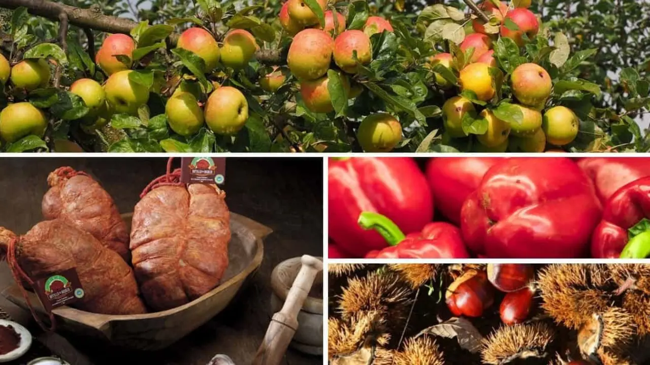 Productos del Bierzo