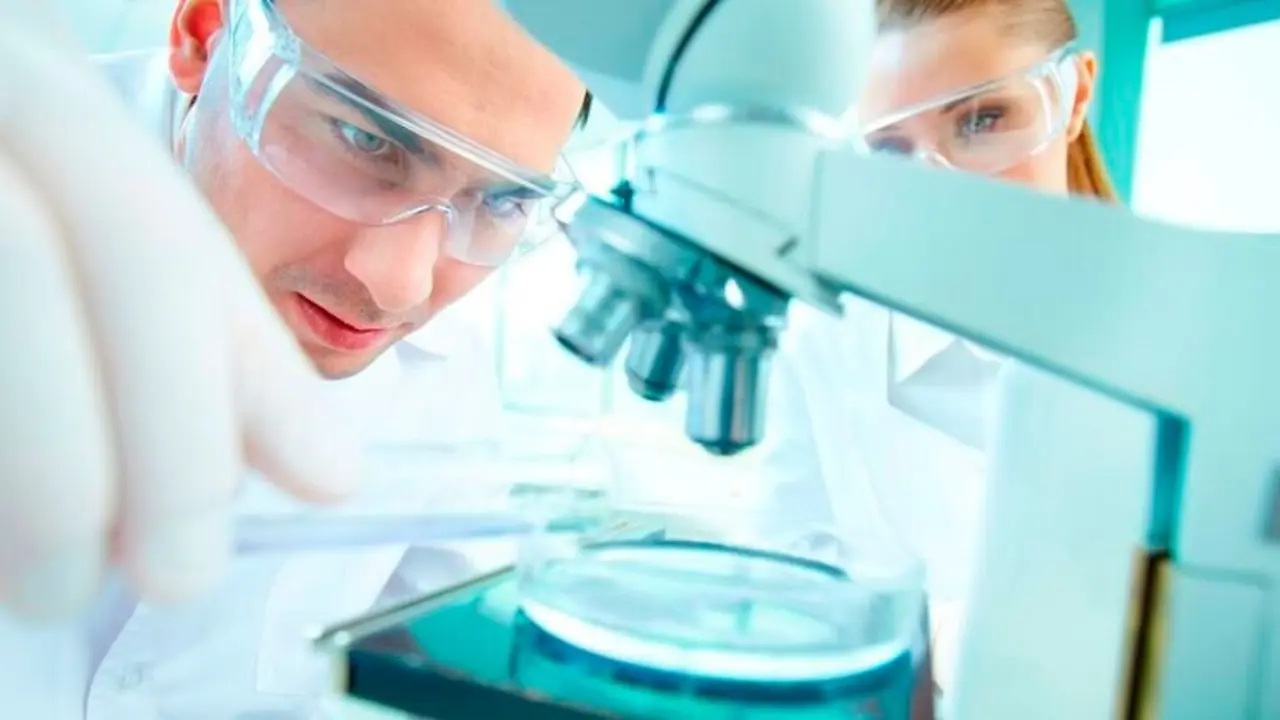 Imagen de archivo de dos personas realizando una investigación.