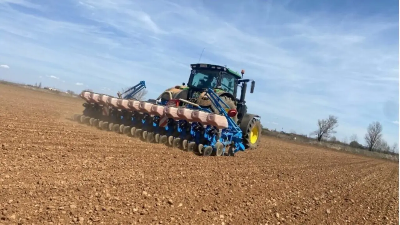 Maquinaria retirando remolacha de un campo de cultivo.