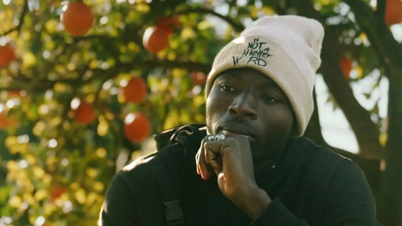 Imagen de la portada del documental  'Frutos amargos'.