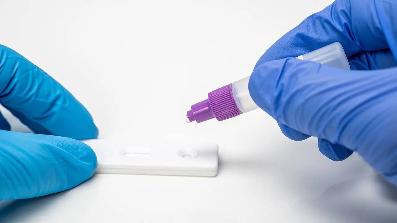 Imagen de un test para la detección de coronavirus.