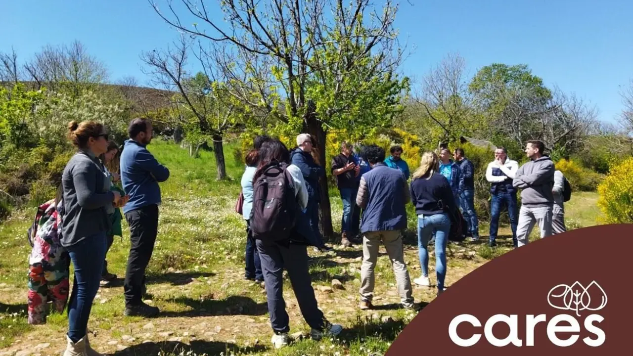 El proyecto Cares del Bierzo se presentará en el noveno Congreso Forestal Español.