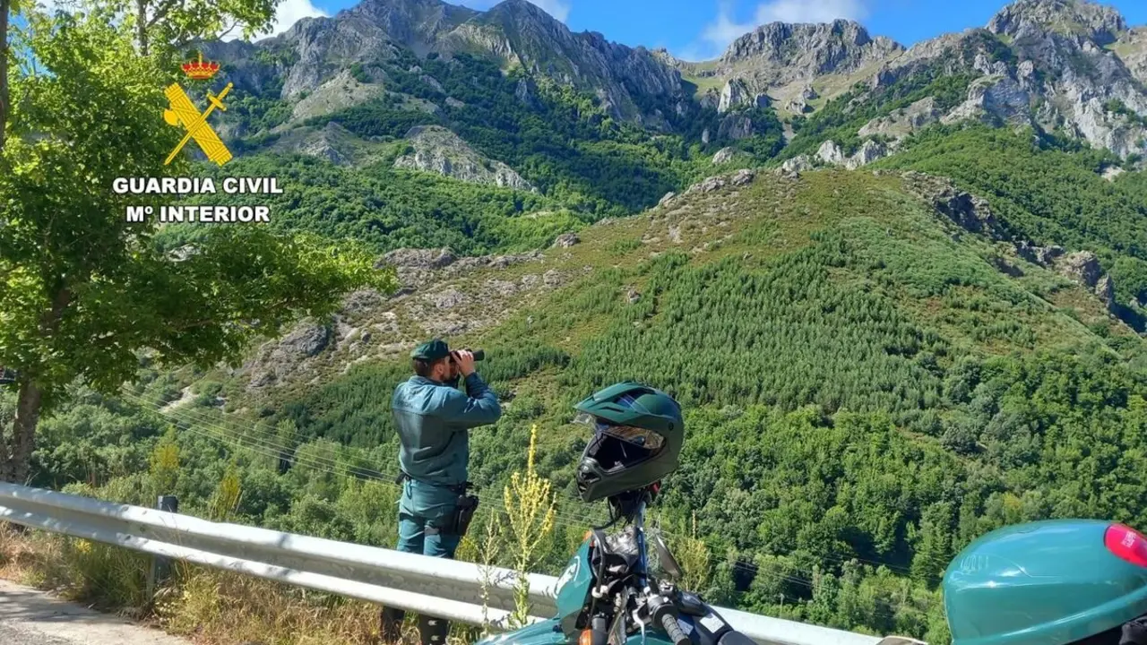 Una patrulla del Seprona de la Guardia Civil durante el rescate.