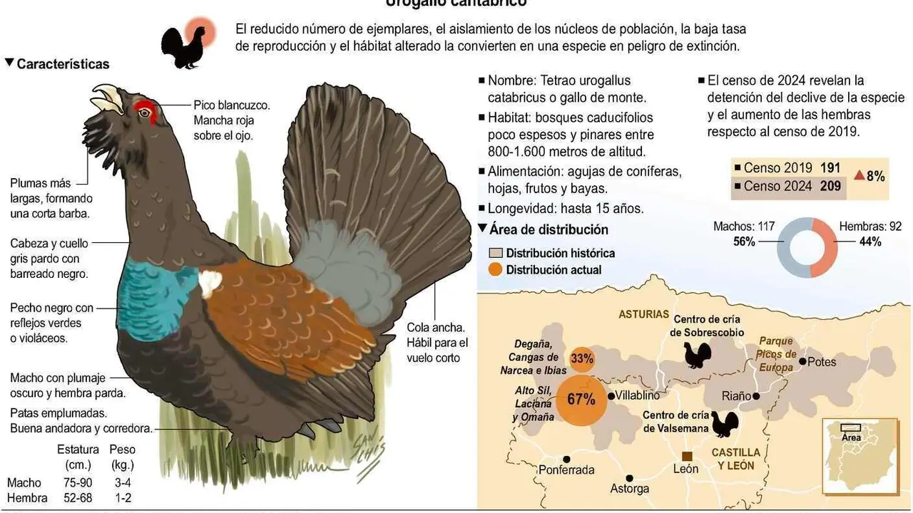 Mapa de distribución del urogallo cantábrico.