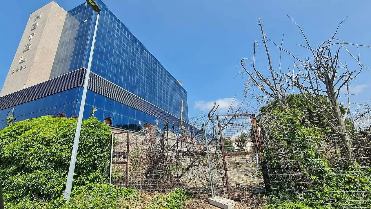 Cortes de Le&oacute;n 13