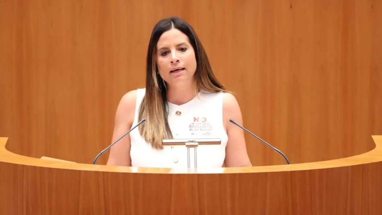 Nuria Rubio, viceportavoz del Grupo Parlamentario Socialista en las Cortes de Castilla y León.