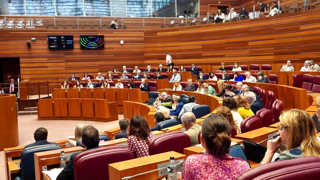 Votación en el Pleno de las Cortes de Castilla y León