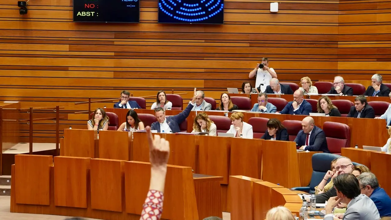 Votación en el Pleno de las Cortes de Castilla y León.