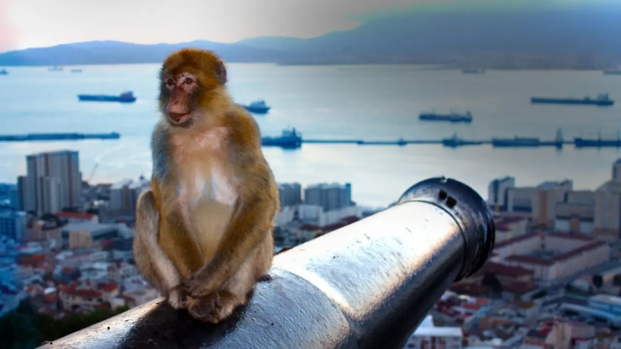Imagen de Gibraltar desde el Peñón con la península ibérica al fondo