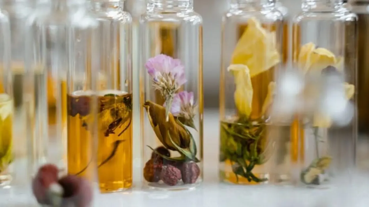 pLANTAS EN LA COSMÉTICA NATURAL