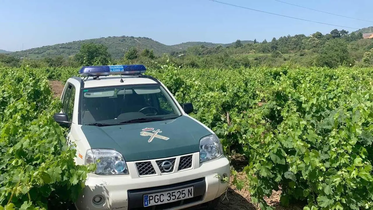 Imagen de una patrulla de Toral de los Vados en la explotación vinícola.