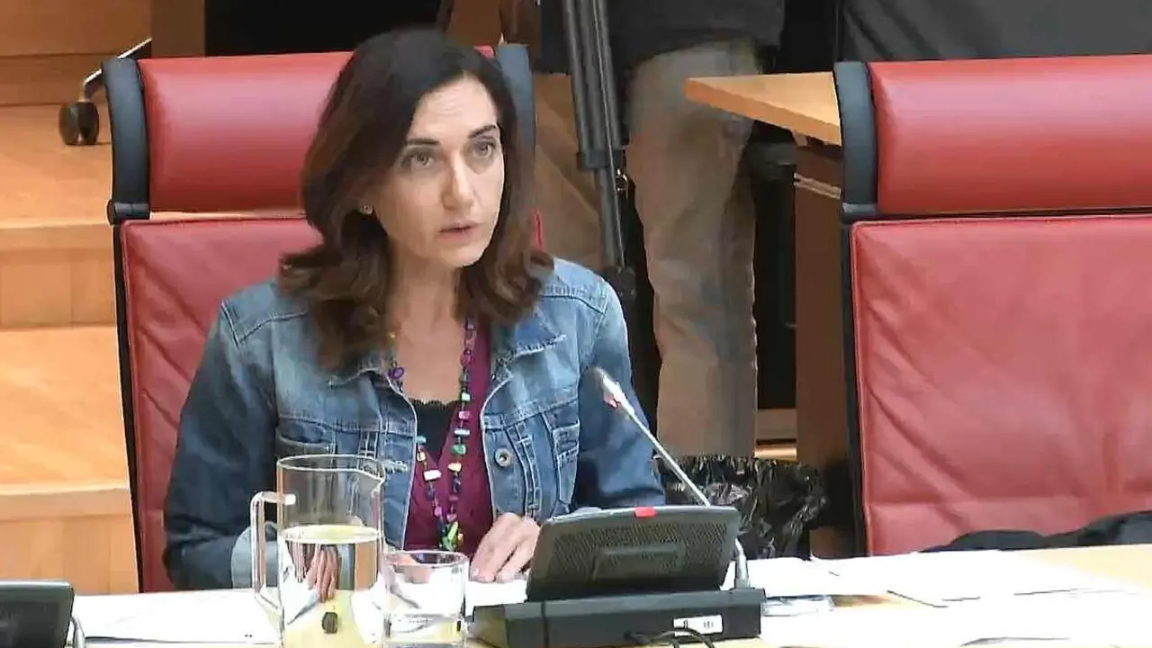 Alicia Gallego, durante una intervención en las Cortes.