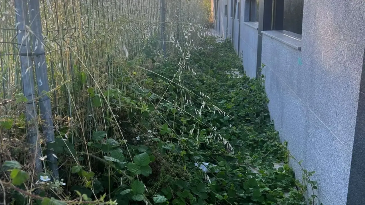 Imagen del estado de las calle de Trobajo que denuncia Vox. Foto: Vox San Andrés