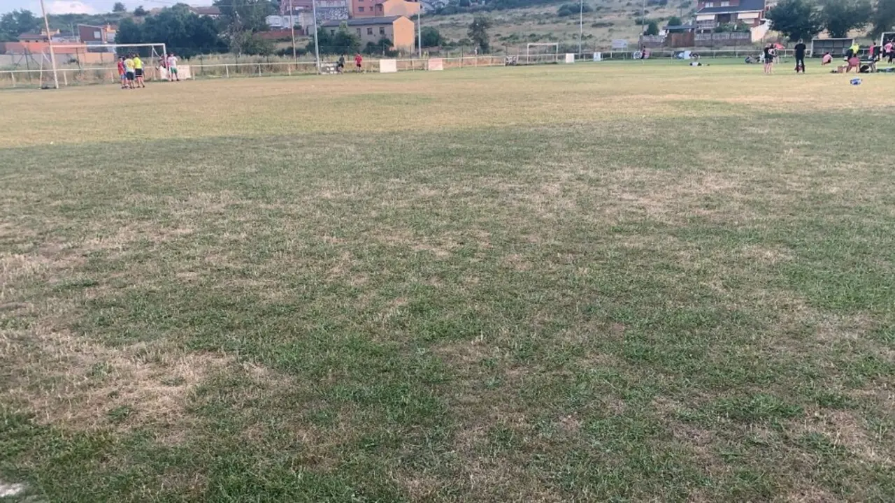 Estado del campo de San Andrés que ha obligado a suspender el torneo de fútbol base. Foto: Eva Valbuena