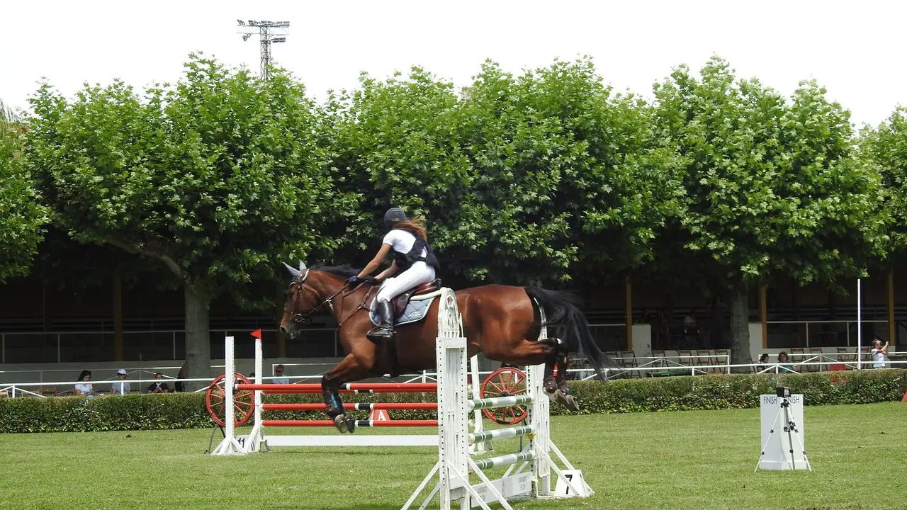 Segunda jornada del LXXIV Concurso de Saltos en el Hípico de León. Foto: M.A. García