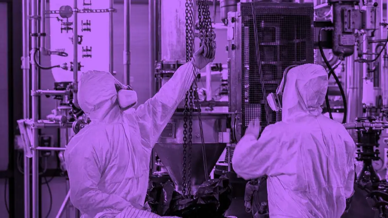 Imagen de una planta de Curia en una fotografía de su página web.