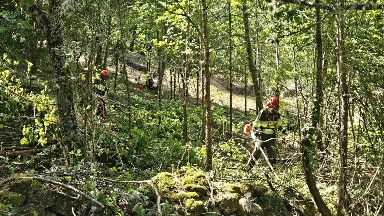 Prevención de incendios 31