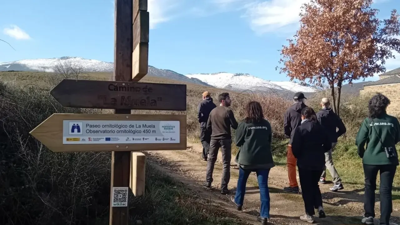 Actividad de voluntariado en el entorno del Bosque de Valdavido, en La Cabrera (León). Foto: SEO/Bridlife