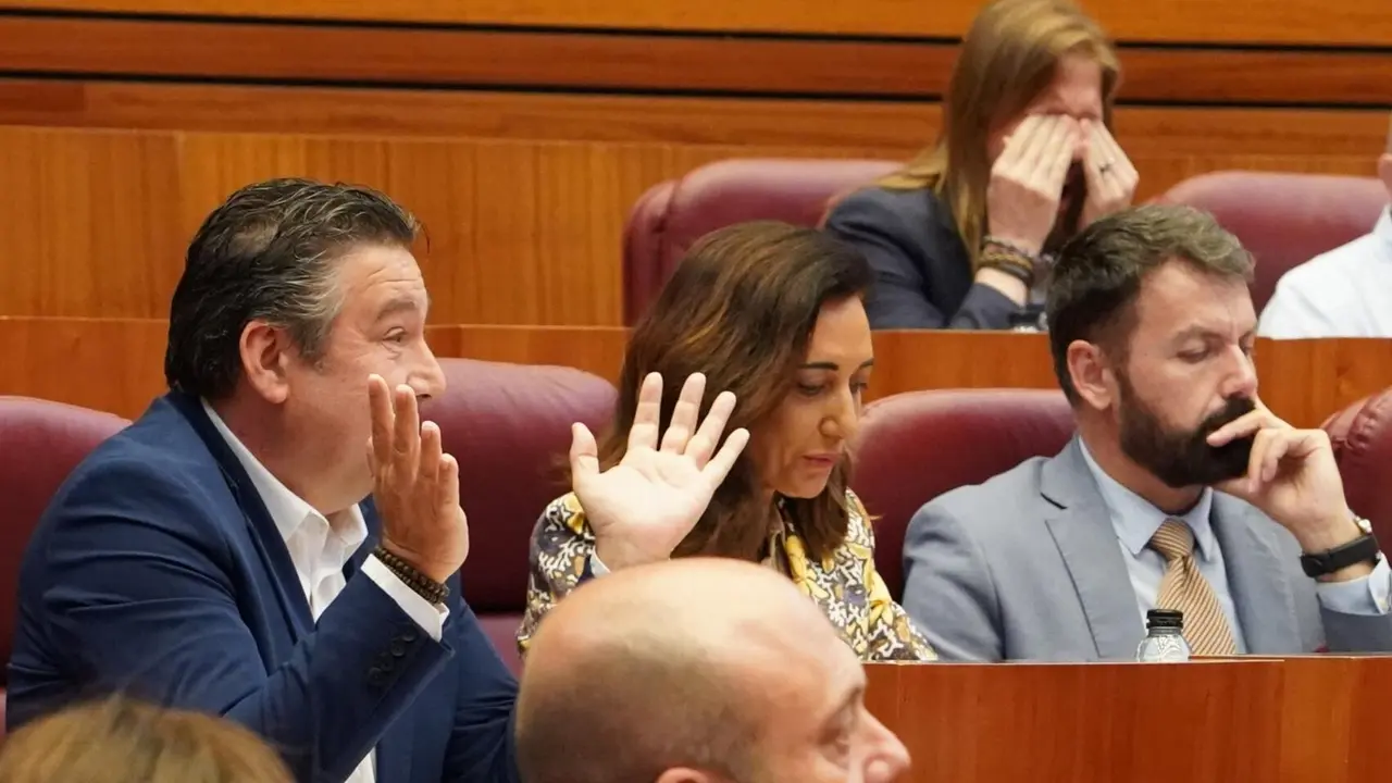 Pleno de las Cortes de Castilla y León durante la sesión de este martes. Foto: Miriam Chacón