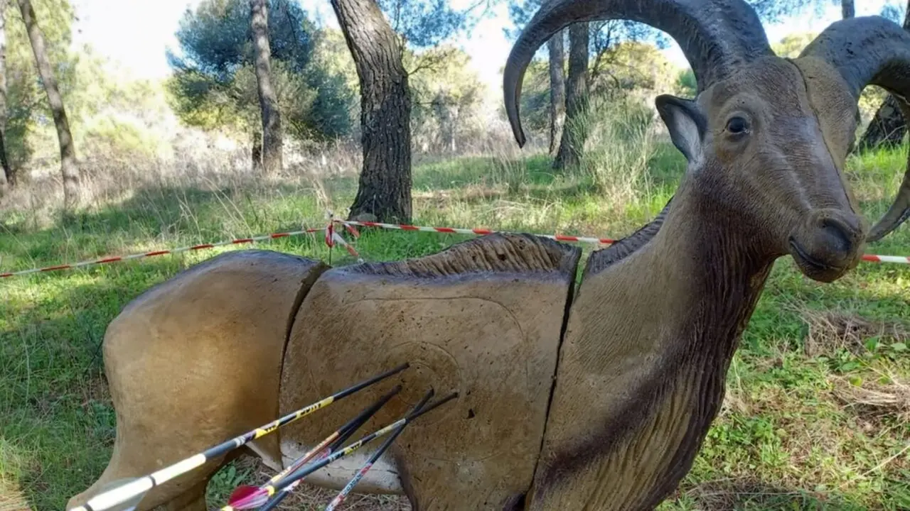 Tiro con arco Ponferrada