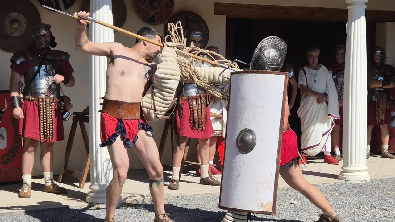 ludus 5