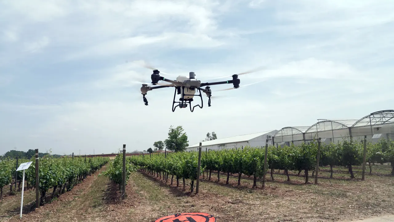 Un dron fumiga un campo de vides en Valladolid