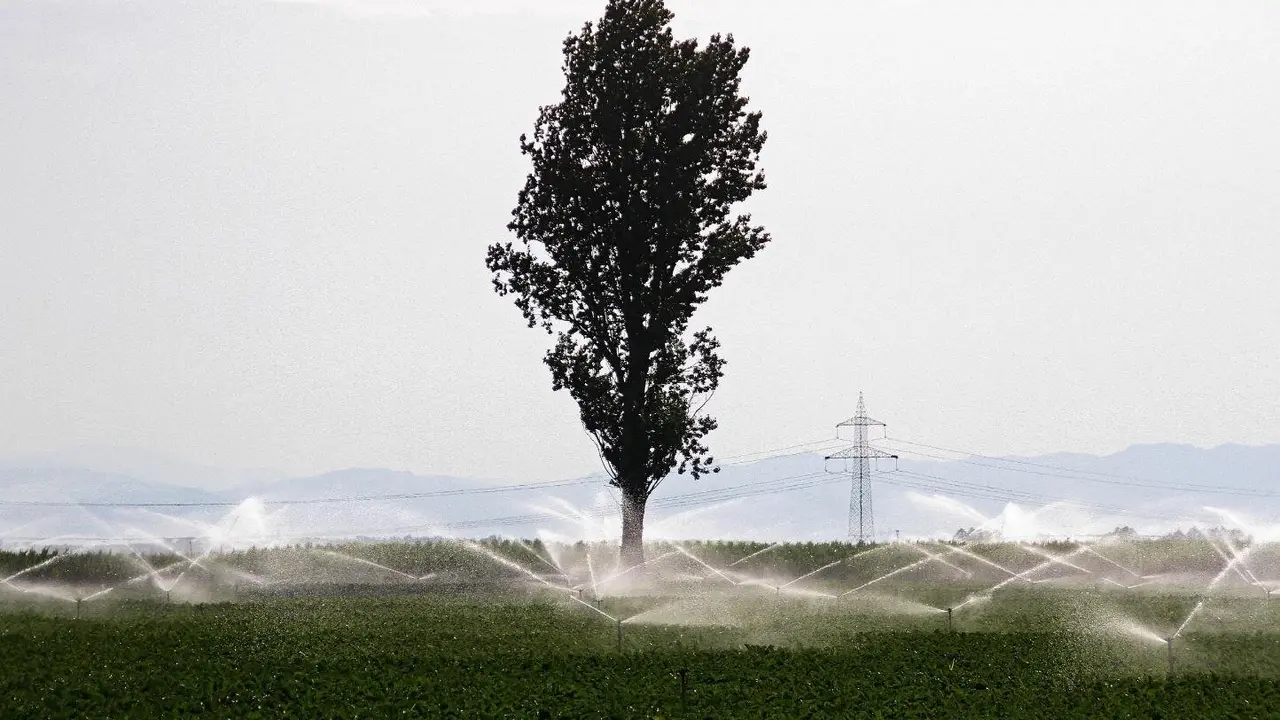 Un campo de regadío en la provincia de León. Foto: Peio García