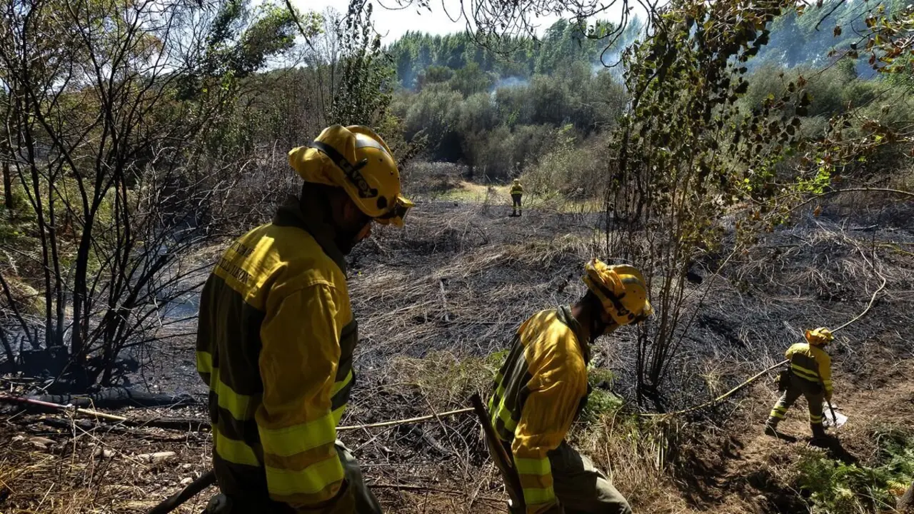 Brigadas forestales durante la extinción de un incendio la pasada campaña. Foto: Vicente