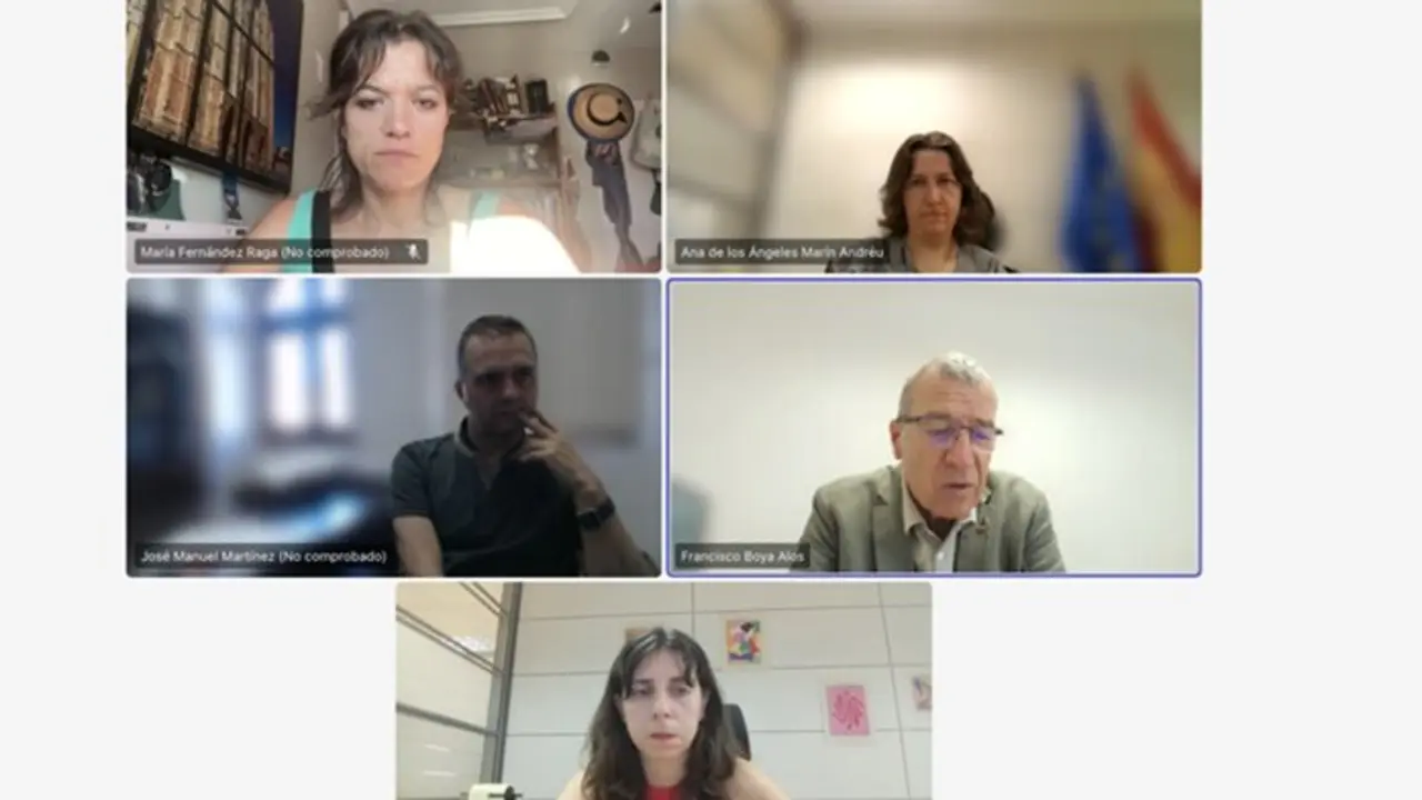 Imagen de la reunión telemática entre León Propone y Reto Demográfico.