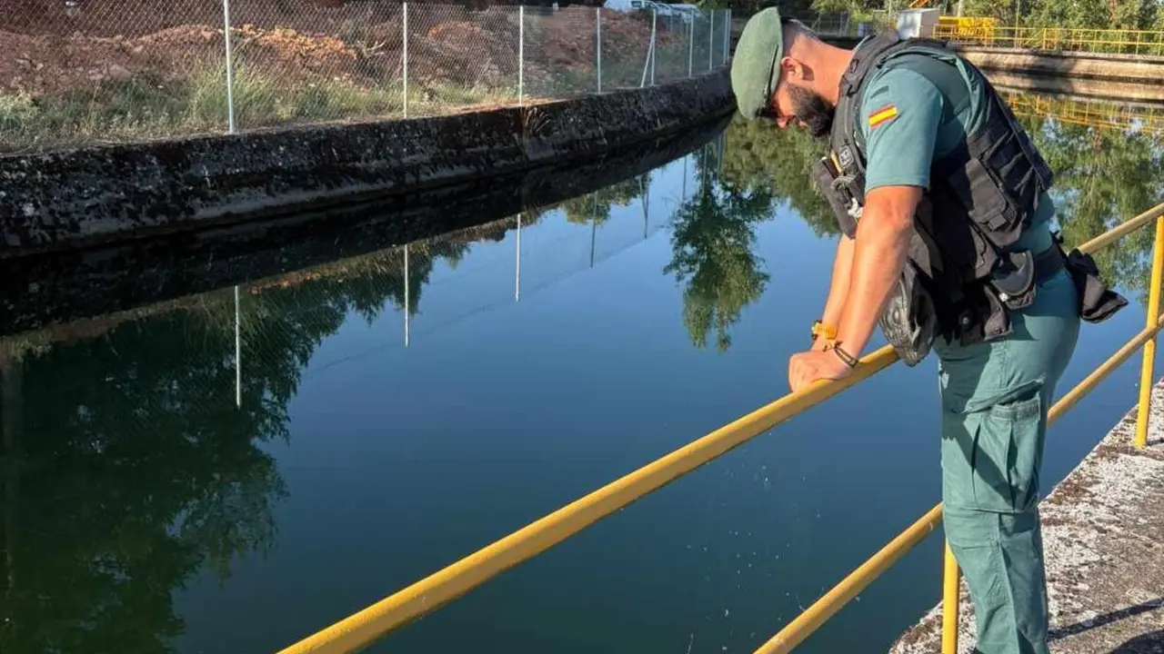 Efectivos de la Guardia Civil durante las labores de búsqueda.