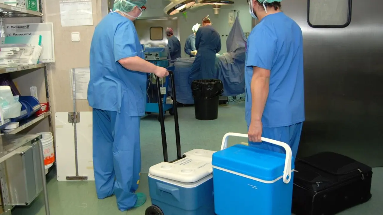 Los hospitales públicos de León suman 15 donantes de órganos en lo que va de 2025.