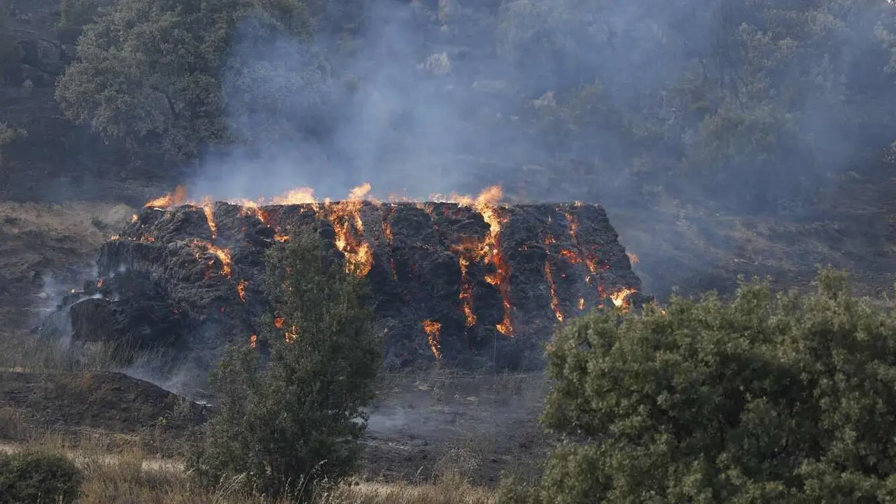La Junta activa la situación operativa dos ante la evolución del incendio de Navaluenga (Ávila).