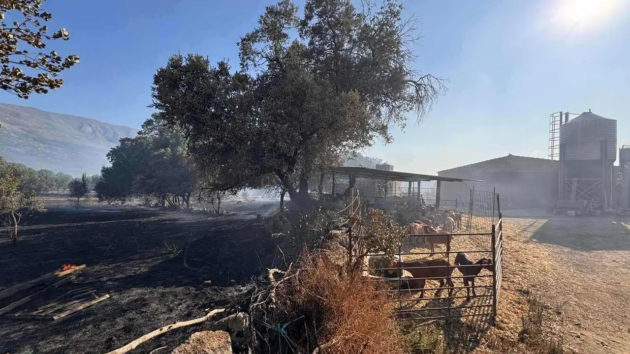 La Junta activa la situación operativa dos ante la evolución del incendio de Navaluenga (Ávila).