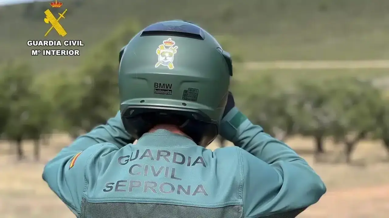 Imagen del Seprona durante una intervención.