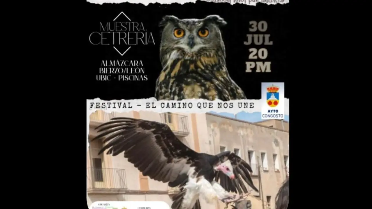 el festival “El Camino que nos une”