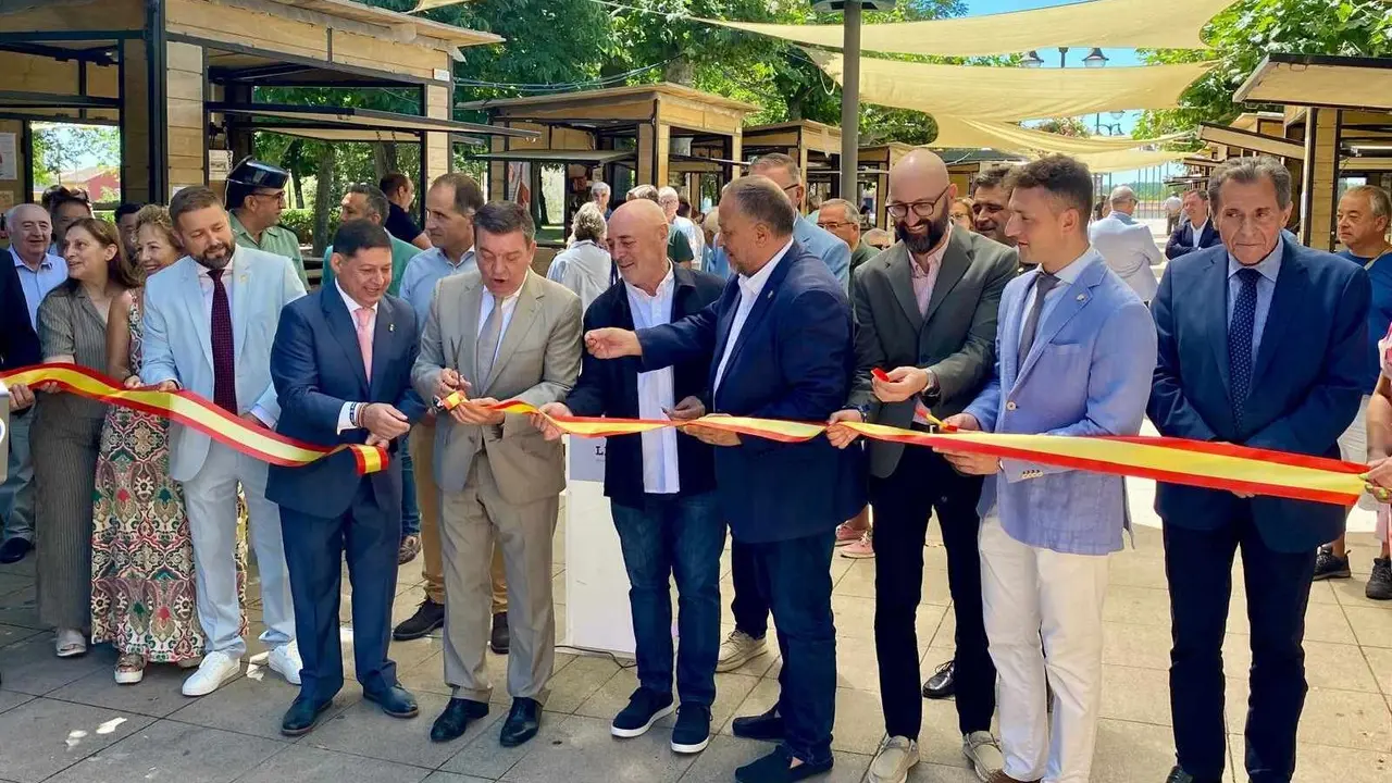 Un total de 15 bodegas de la Denominación de Origen León participan, desde hoy y hasta el domingo, en la XXII edición de la Feria del Vino de Valencia de Don Juan, que acaba de abrir sus puertas en el Jardín de los Patos y cuya inauguración corrió a cargo del consejero de Presidencia de la Junta, Luis Miguel González Gago, quien estuvo acompañado del presidente de la Diputación de León, Gerardo Álvarez Courel, el alcalde de la localidad, José Jiménez, entre otras autoridades.