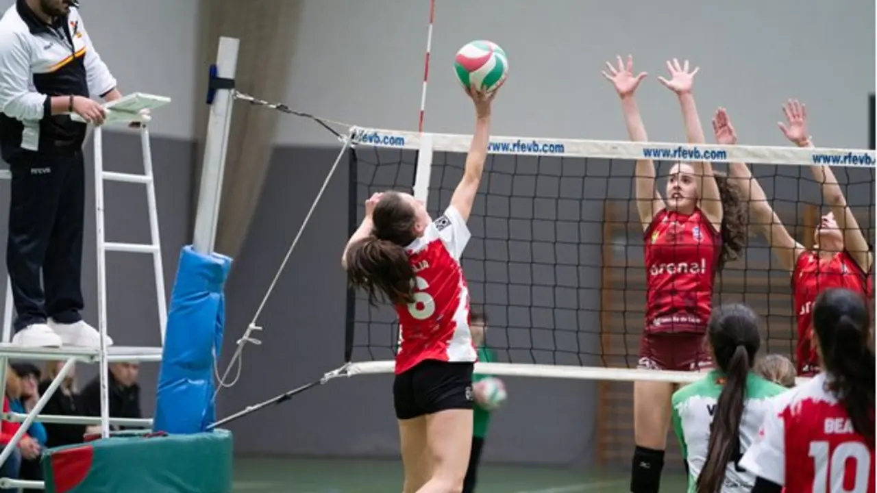 Aule voleibol