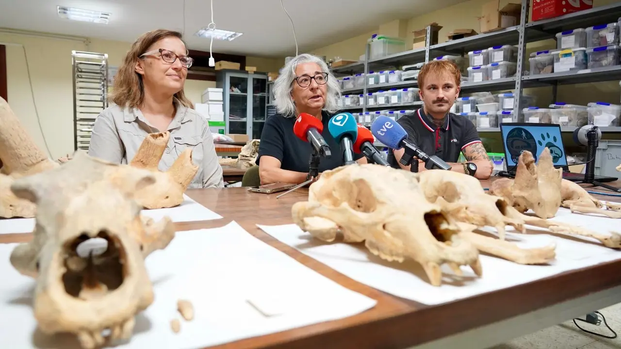 Investigadores de la Universidad de León y del Museo Nacional de Ciencias Naturales presentan la primera Campaña de recuperación de restos de fauna del Cuaternario en cuevas de la provincia. Foto: Campillo
