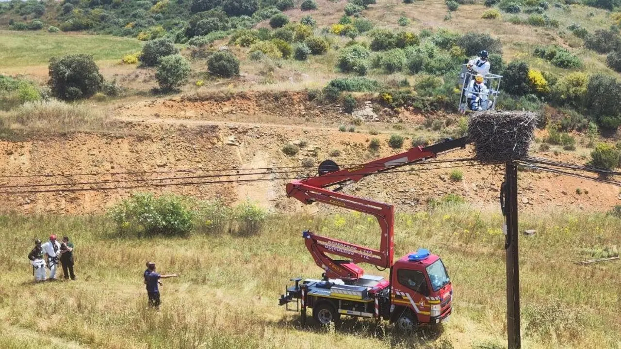 -	La actuación se ha llevado a cabo junto con los Agentes Medioambientales de la comarca de Astorga y la colaboración de los bomberos de la Diputación Provincial de León del Parque de Astorga, el SEPRONA de la Guardia Civil, y el personal técnico de las empresas SEMI (Sociedad Española de Montajes Industriales) y UDF (Unión Fenosa).