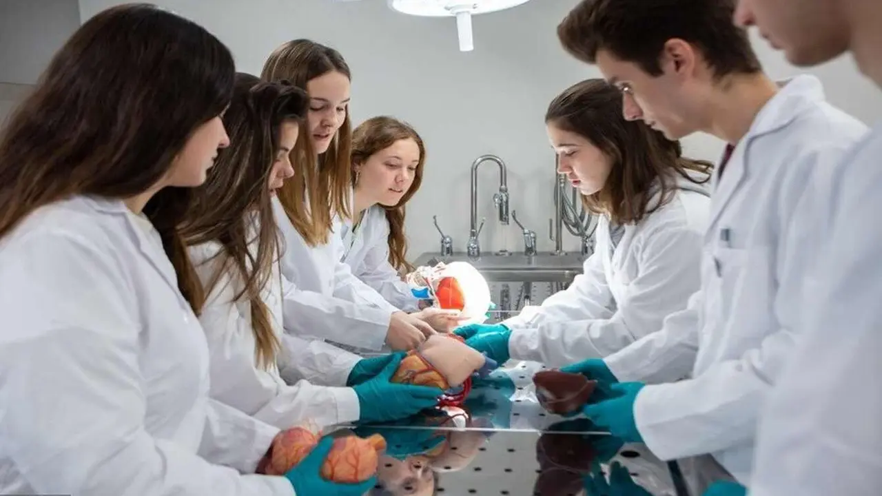 Estudiantes de Medicina durante una clase práctica.