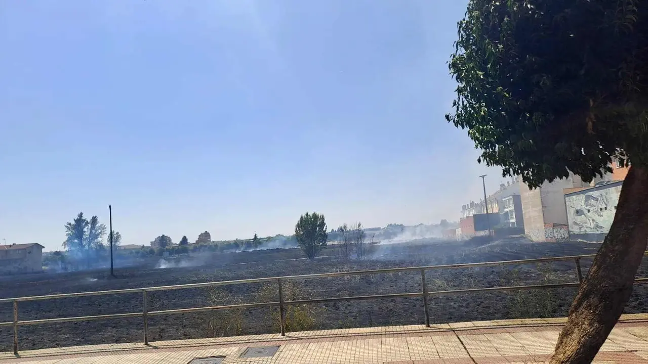 El fuego se ha declarado en el área urbana pendiente de urbanización junto al Palacio de Congresos y Exposiciones afectando a matorral. Foto: A.V.