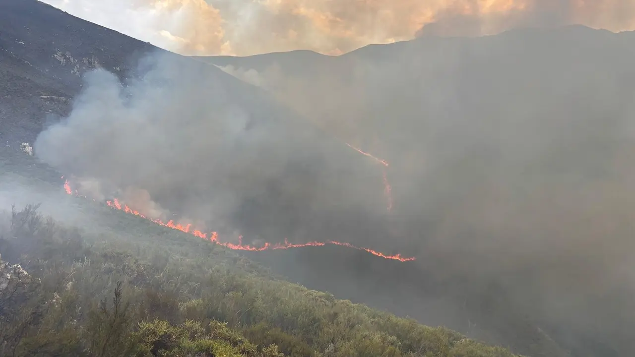 Avance del incendio declarado en La Cabrera; son decenas los efectivos desplegados en la provincia en la tarde y noche de este sábado.