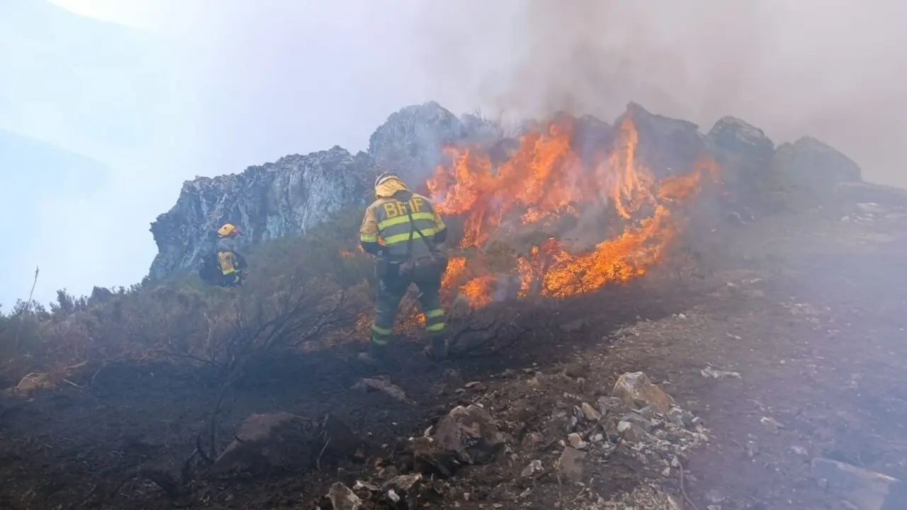Trabajadores del servicio de extinción de incendios forestales de la Junta trabajan sobre uno de los fuegos en León.