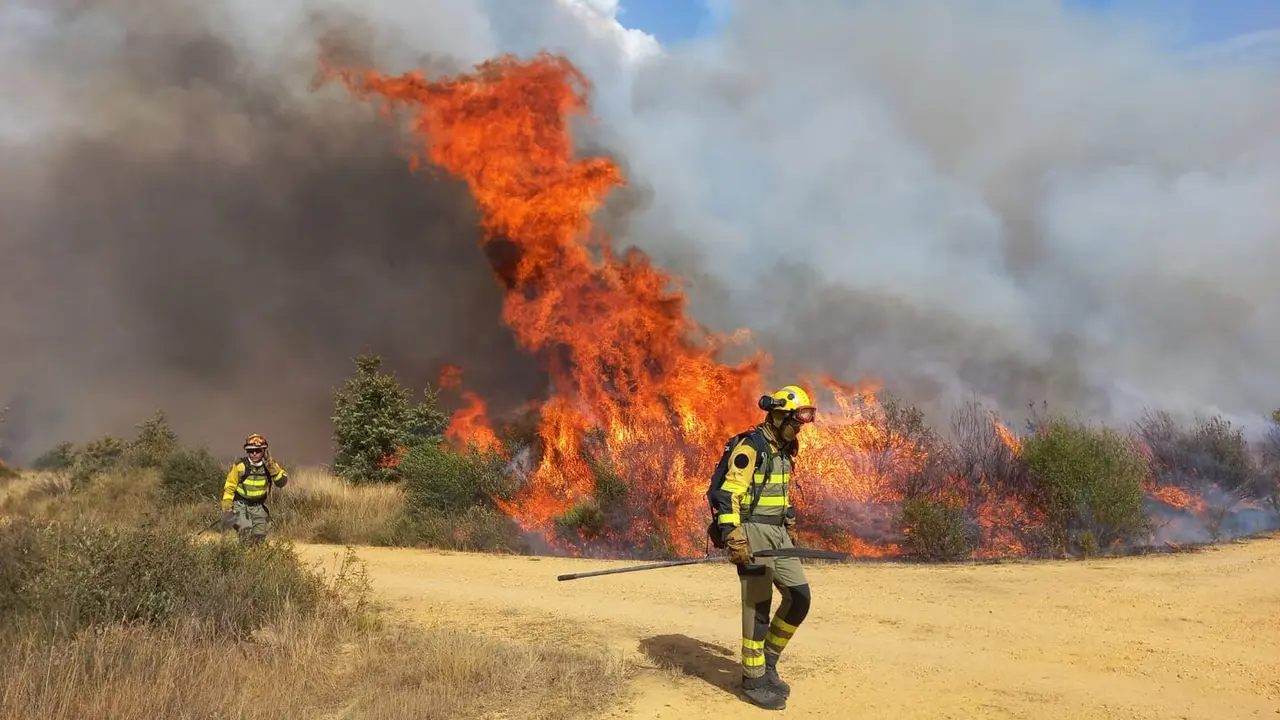 El incendio declarado en la provincia de Zamora ha saltado finalmente al sur de León.
