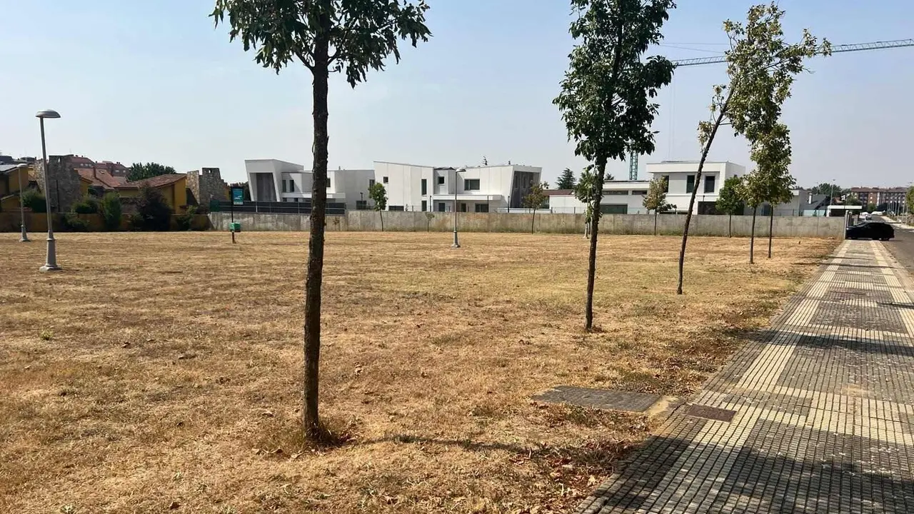 Apenas unos árboles resecos y una extensión de hierba amarillenta conforman hoy el único parque urbano del entorno de la calle Río Camba, en León capital. Situado entre algunas de las urbanizaciones más lujosas de la ciudad, el espacio, que debería ser un pulmón verde para cientos de familias, se ha convertido en un terreno baldío.