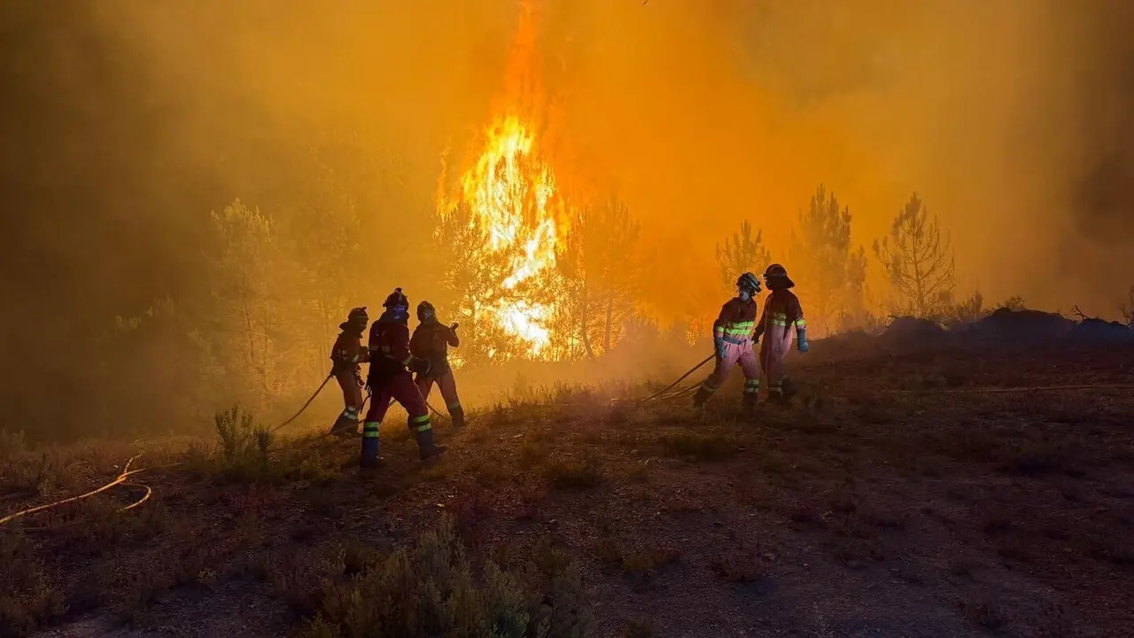 La UME durante su intervención en el incendio de Barniedo, en Boca de Huérgano. Foto: UME