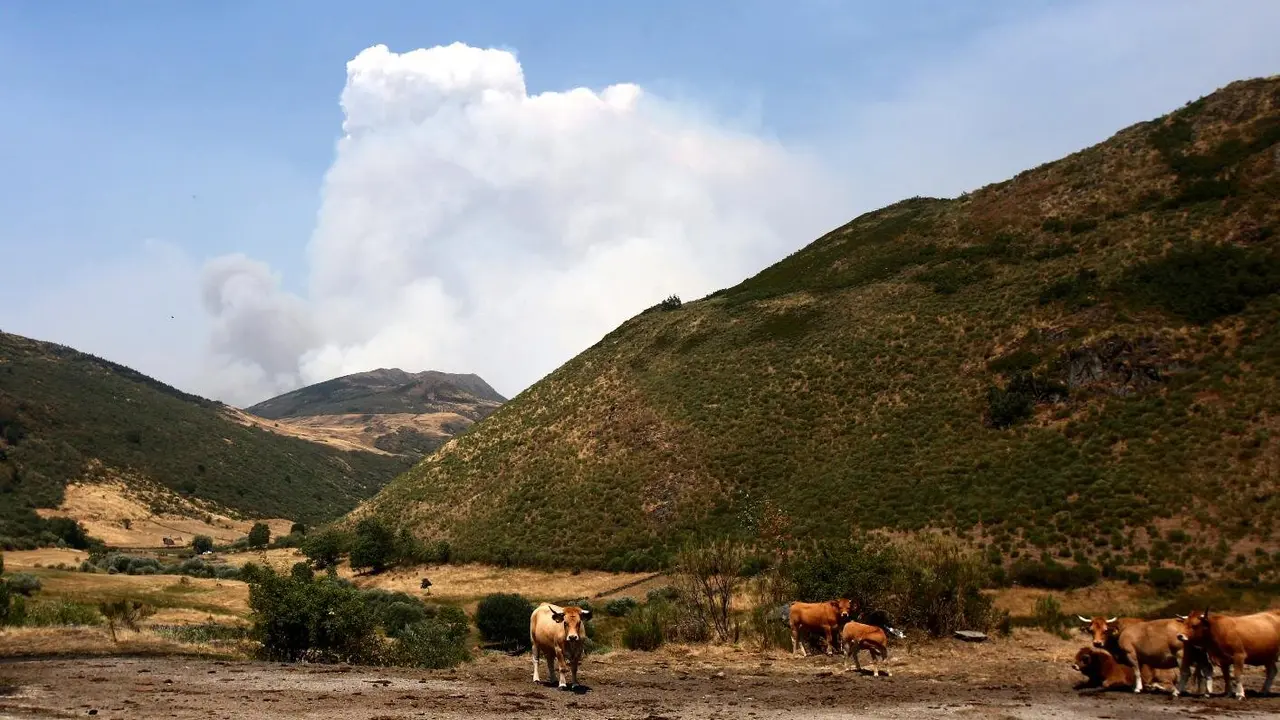 Efectos del incendio en Orallo. Foto: César Hornija