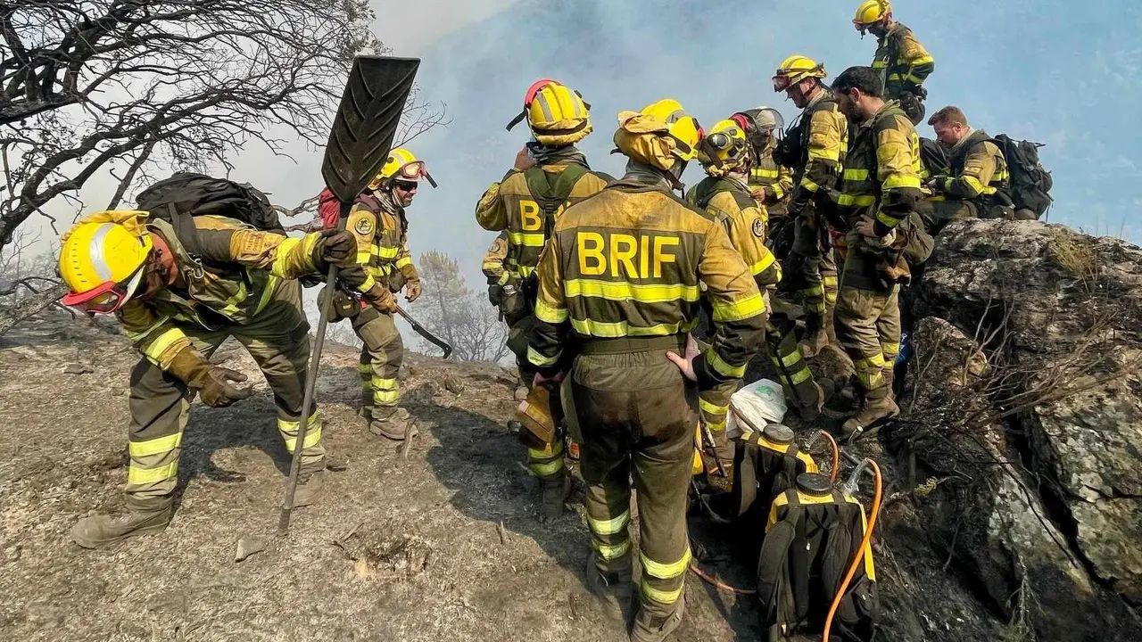Brigadistas forestales, durante un operativo.