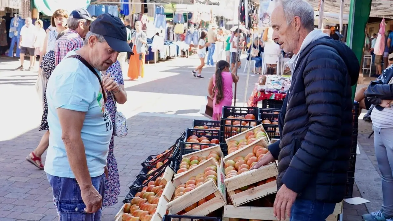 Celebración de la XXV edición de la Feria del Tomate de Mansilla de las Mulas